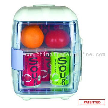 Thermoelectric Car Cooler & Warmer
